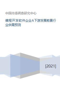 編程開發(fā)軟件企業(yè)A下游發(fā)展前景 行業(yè)供需預(yù)測(cè)與企業(yè)SD軟件開發(fā)領(lǐng)先之道